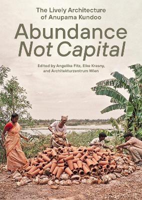 Abundance not Capital - Angelika Fitz, Elke Krasny