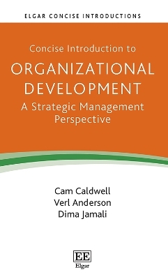 Concise Introduction to Organizational Development