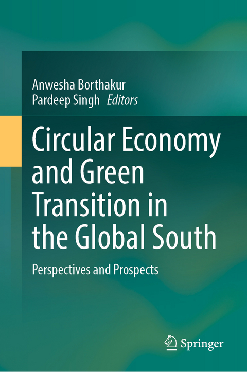 Circular Economy and Green Transition in the Global South - 
