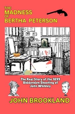The Madness of Bertha Peterson - John Brookland