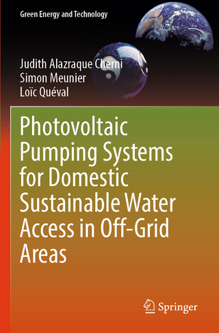 Photovoltaic Pumping Systems for Domestic Sustainable Water Access in Off-Grid Areas