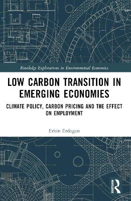 Low Carbon Transition in Emerging Economies - Erkin Erdoğan