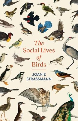 The Social Lives of Birds - Joan E. Strassmann
