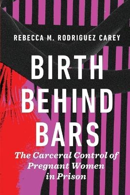 Birth Behind Bars - Rebecca M. Rodriguez Carey