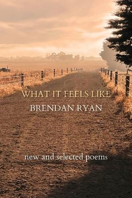 What It Feels Like - Brendan Ryan