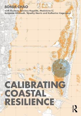 Calibrating Coastal Resilience - Sonia R Ch&aacute;o