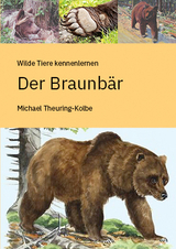 Der Braunb&auml;r - Michael Th