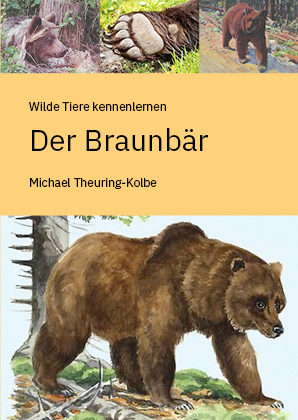Der Braunbär
