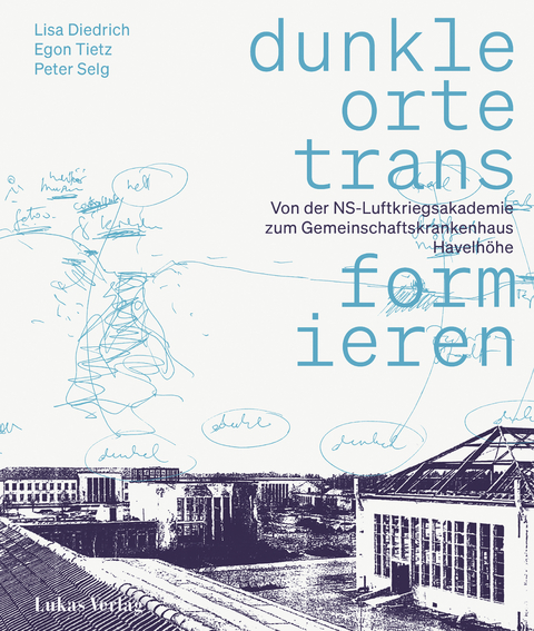 Dunkle Orte transformieren - Lisa Diedrich, Peter Selg, Egon Tietz