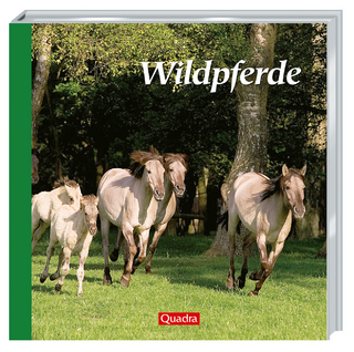 Wildpferde