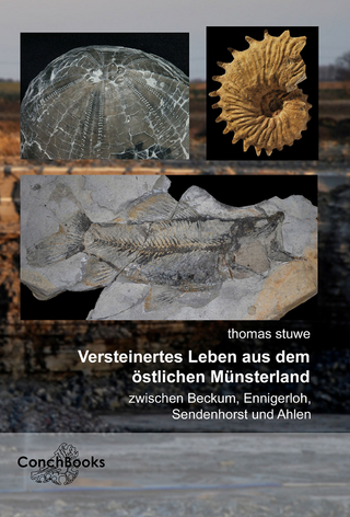 Versteinertes Leben aus dem östlichen Münsterland - zwischen Beckum, Ennigerloh, Sendenhorst und Ahlen