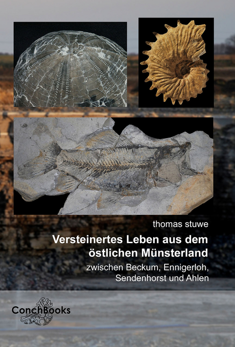 Versteinertes Leben aus dem &ouml;stlichen M&uuml;nsterland - zwischen Beckum, Ennigerloh, Sendenhorst und Ahlen - Thomas Stuwe