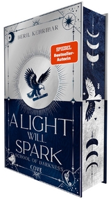 A Light Will Spark (School of Darkness 2) - Beril Kehribar
