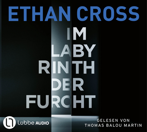 Im Labyrinth der Furcht - Ethan Cross