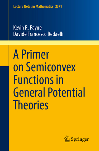 A Primer on Semiconvex Functions in General Potential Theories