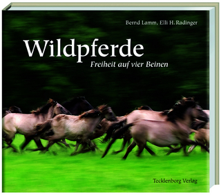Dülmener Wildpferde