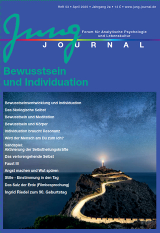 Jung Journal Heft 53: Bewusstsein und Individuation