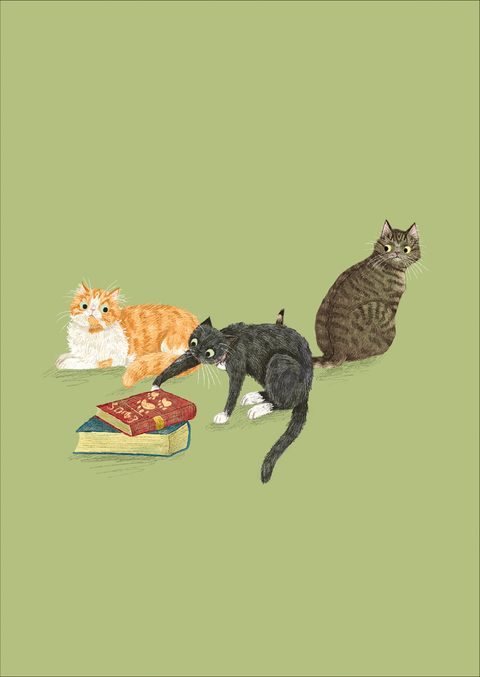 Postkarten Lesekatzen (VE10)