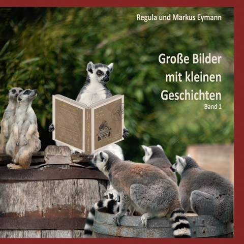 Gro&szlig;e Bilder mit kleinen Geschichten / Grosse Bilder - mit kleinen Geschichten - Band 1 - Regula Eymann