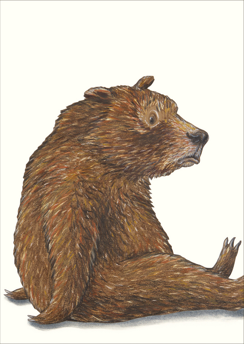 Sauerbär Postkarte VE 1 = 10 - Kathrin Schärer