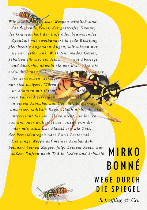 Wege durch die Spiegel - Mirko Bonn&eacute;