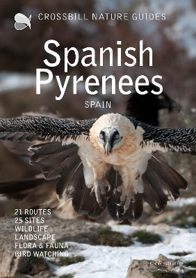 Crossbill Nature Guide Spanish Pyrenees