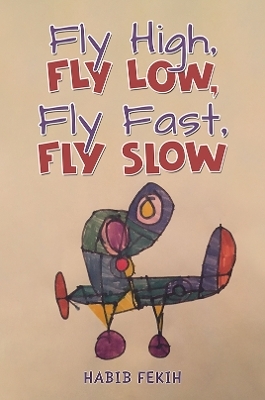Fly High, Fly Low, Fly Fast, Fly Slow - Habib Fekih