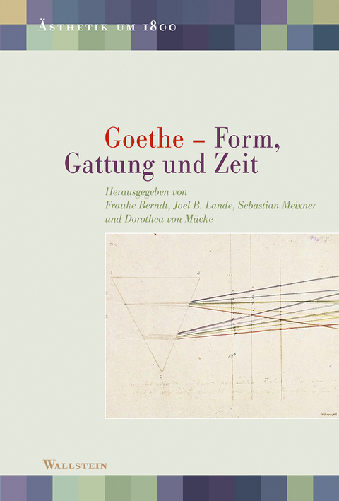 Goethe &ndash; Form, Gattung und Zeit - 