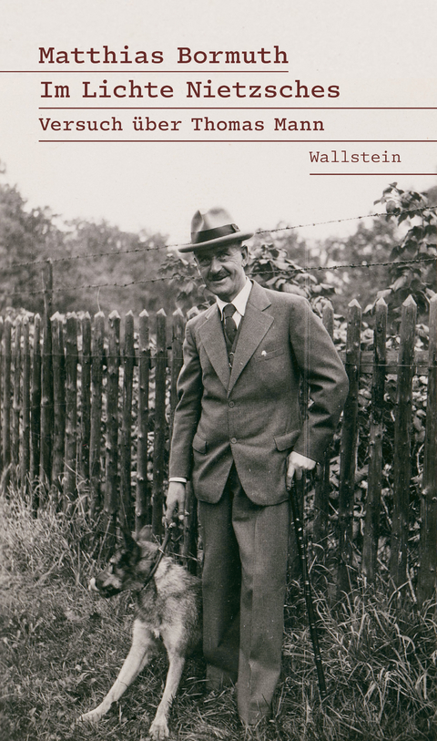 Im Lichte Nietzsches - Matthias Bormuth
