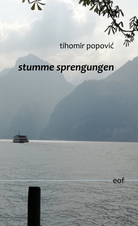 stumme sprengungen - Tihomir Popovic