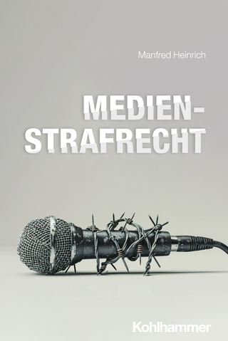 Medienstrafrecht