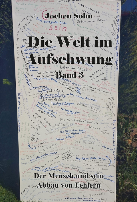 Die Welt im Aufschwung - Band 3 - Jochen Sohn