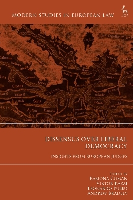 Dissensus over Liberal Democracy - 