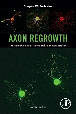 Axon Regrowth - Douglas W Zochodne