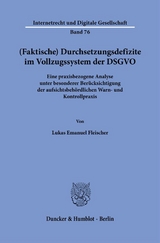 (Faktische) Durchsetzungsdefizite im Vollzugssystem der DSGVO - Lukas Emanuel Fleischer