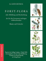 Forst-Flora oder Abbildung und Beschreibung der f&uuml;r den Forstmann wichtigen wildwachsenden B&auml;ume und Str&auml;ucher - David Dietrich
