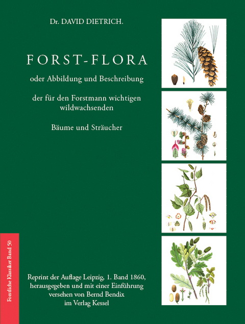 Forst-Flora oder Abbildung und Beschreibung der f&uuml;r den Forstmann wichtigen wildwachsenden B&auml;ume und Str&auml;ucher - David Dietrich