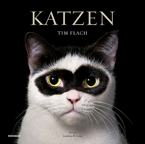 Katzen - Tim Flach