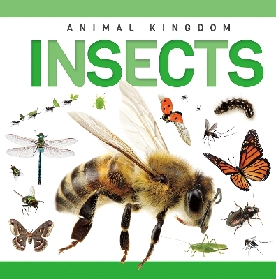 Insects - Rebecca Phillips-Bartlett