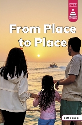 From Place to Place - Laura Stickney