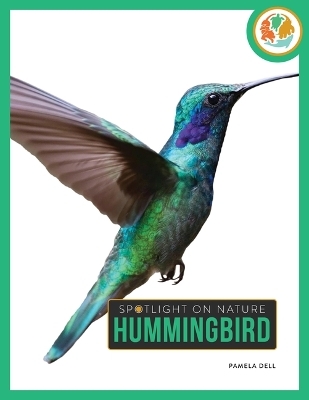 Hummingbird - Pamela Dell