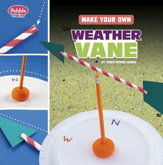 Pebble Maker Science Make Your Own Weather Vane
