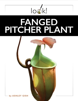 Fanged Pitcher Plant - Ashley Gish