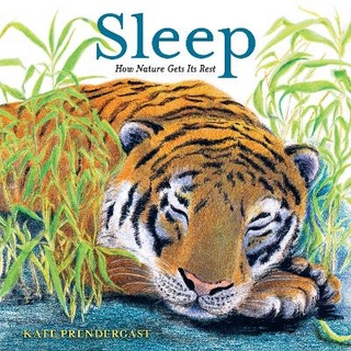 Sleep: How Nature Gets Its Rest