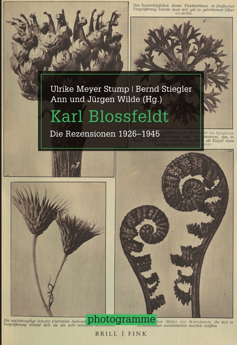 Karl Blossfeldt - 