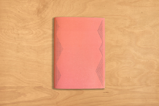 Martin Ziegelmüller: Übergänge