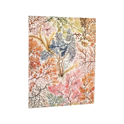 2026 Anemone (William Kilburn) Ultra 12-month Business Planner Softcover Flexi Dayplanner 2026 (Elastic Band Closure) -  Paperblanks