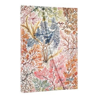 2026 Anemone (William Kilburn) Midi 12-month Horizontal Hardcover Flexi Dayplanner 2026 (Wrap Closure)