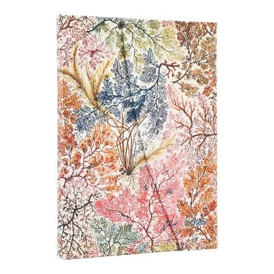 2026 Anemone (William Kilburn) Midi 12-month Horizontal Hardcover Flexi Dayplanner 2026 (Wrap Closure) -  Paperblanks