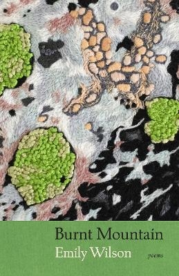 Burnt Mountain - Emily Wilson